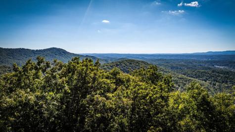 Lt 32 Pheasant Tail Trace Ellijay GA 30536