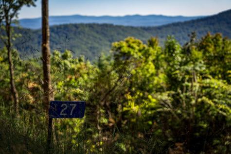 Lt 32 Pheasant Tail Trace Ellijay GA 30536