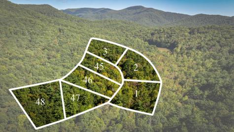 Lt 32 Pheasant Tail Trace Ellijay GA 30536