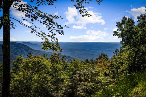 Lt 32 Pheasant Tail Trace Ellijay GA 30536