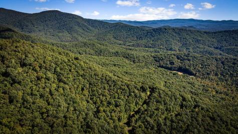 Lt 32 Pheasant Tail Trace Ellijay GA 30536