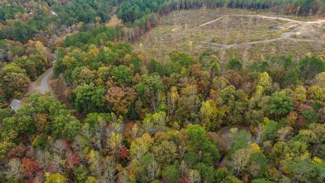 Lot 48 Lower Creek Trail Ellijay GA 30540