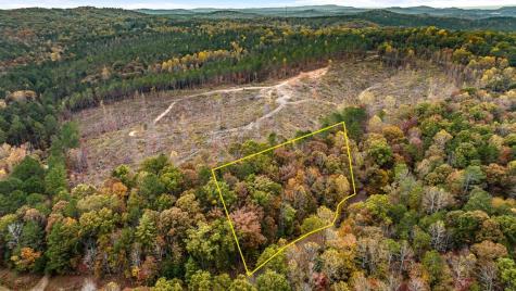 Lot 48 Lower Creek Trail Ellijay GA 30540