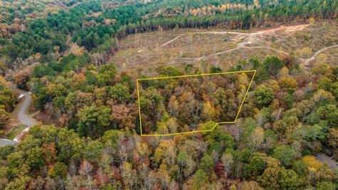 Lot 48 Lower Creek Trail Ellijay GA 30540