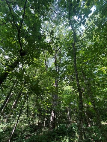 0 Monument Road Jasper GA 30143