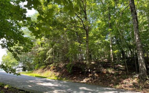 #7 Mountain Drive N Hiawassee GA 30546