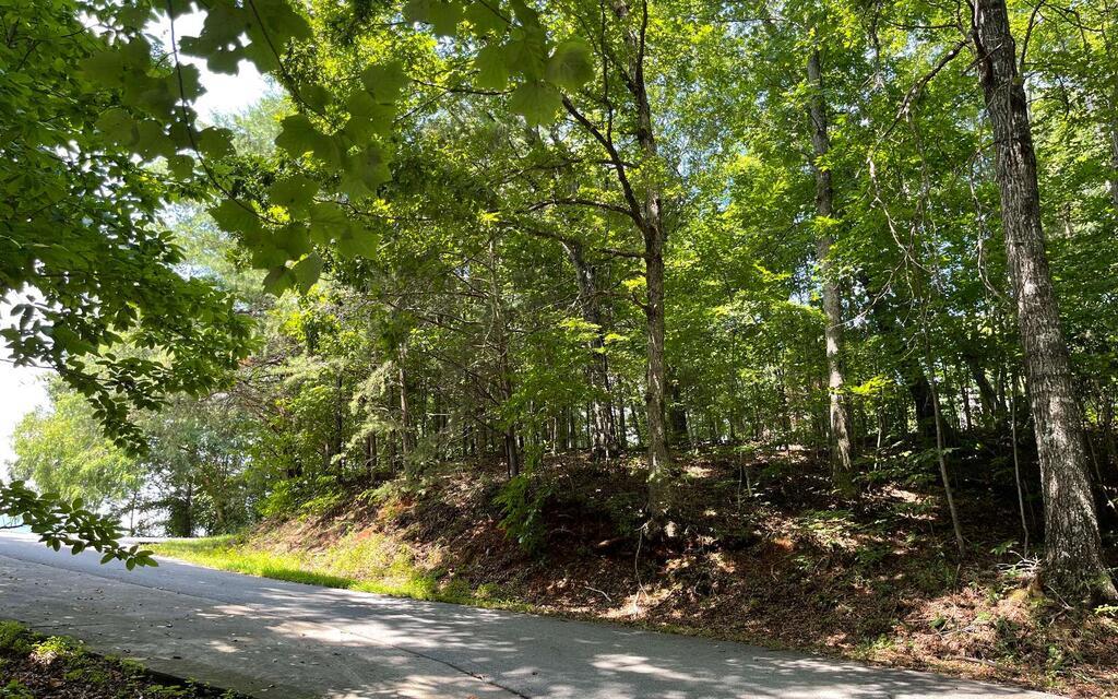 #7 Mountain Drive N Hiawassee GA 30546