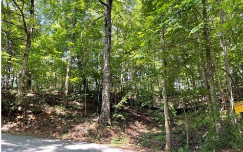 #7 Mountain Drive N Hiawassee GA 30546