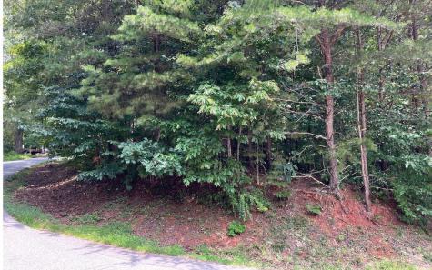 #7 Mountain Drive N Hiawassee GA 30546
