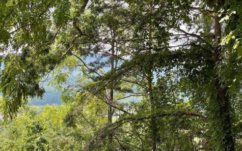 #7 Mountain Drive N Hiawassee GA 30546