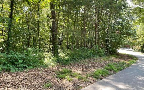 #7 Mountain Drive N Hiawassee GA 30546