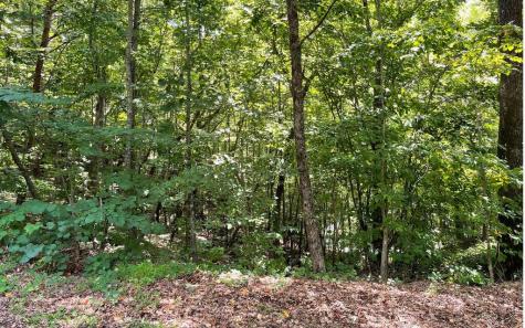 #7 Mountain Drive N Hiawassee GA 30546