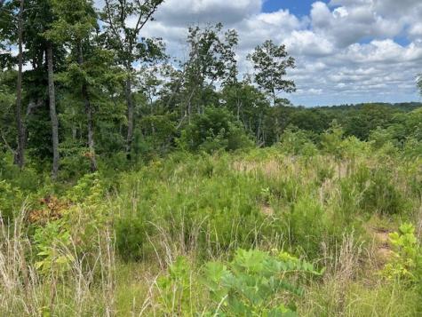 Lt 95 Timberline Trail Ellijay GA 30540