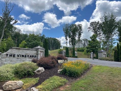 Lt 95 Timberline Trail Ellijay GA 30540