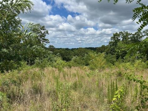 Lt 95 Timberline Trail Ellijay GA 30540