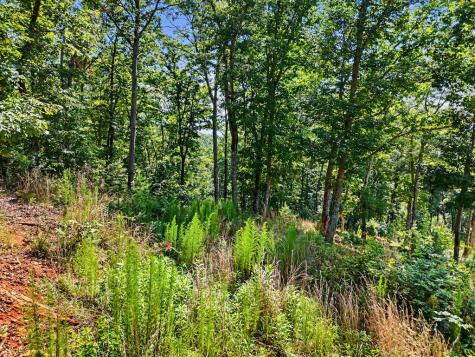 116/117 Highland Park Blairsville GA 30512