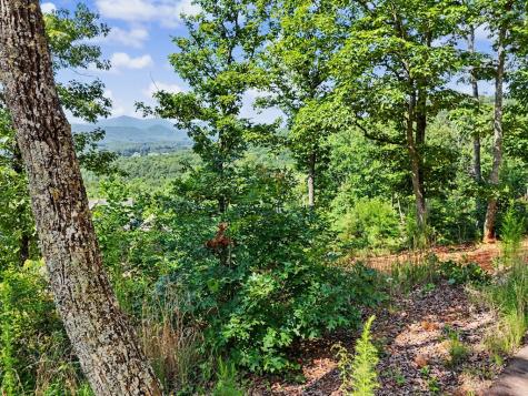 116/117 Highland Park Blairsville GA 30512