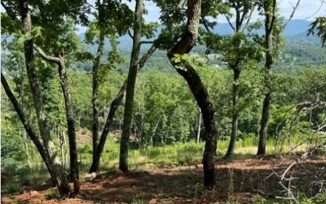 116 Highland Park Blairsville GA 30512