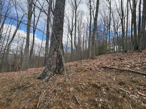 7C & 7d Timber Bend Blairsville GA 30512