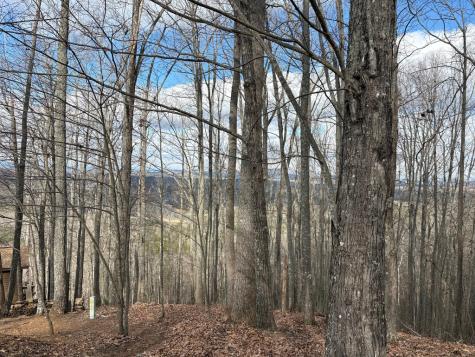 7C & 7d Timber Bend Blairsville GA 30512