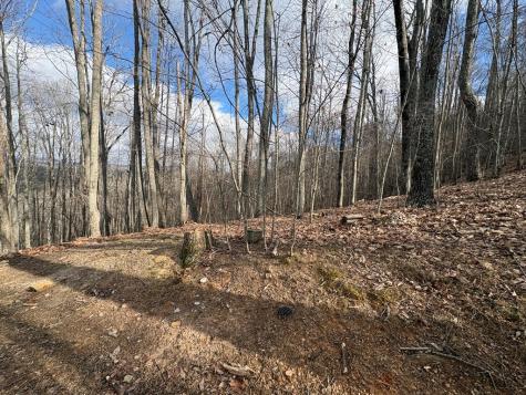 7C & 7d Timber Bend Blairsville GA 30512