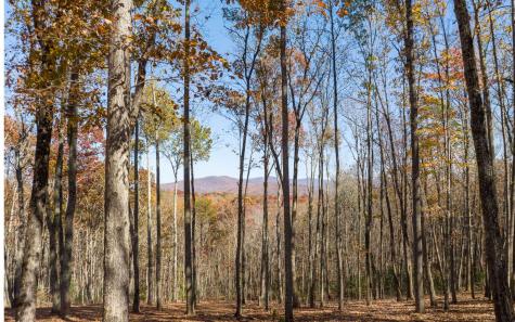 19R Settlement Trail Ellijay GA 30536