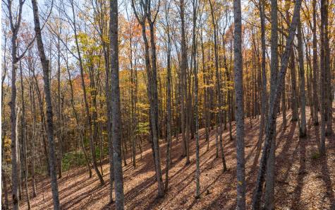 19R Settlement Trail Ellijay GA 30536