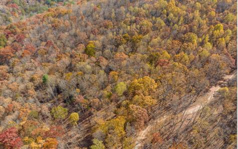 19R Settlement Trail Ellijay GA 30536