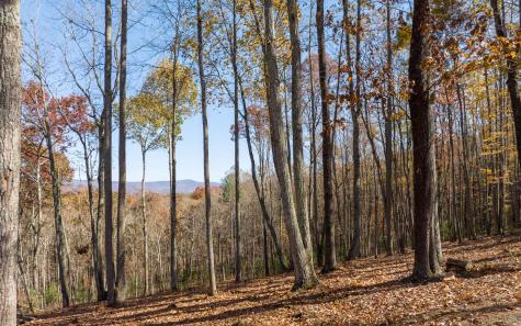 19R Settlement Trail Ellijay GA 30536