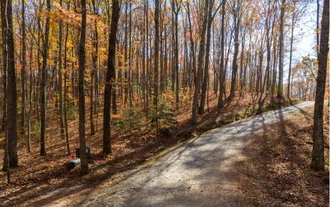 19R Settlement Trail Ellijay GA 30536