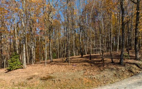 19R Settlement Trail Ellijay GA 30536