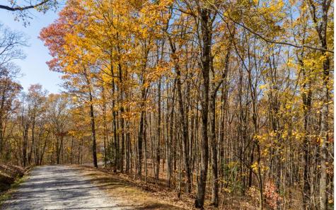 19R Settlement Trail Ellijay GA 30536