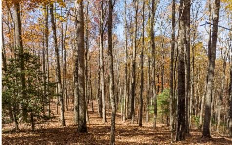 19R Settlement Trail Ellijay GA 30536