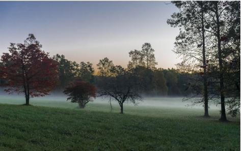 19R Settlement Trail Ellijay GA 30536