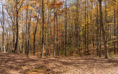 19R Settlement Trail Ellijay GA 30536
