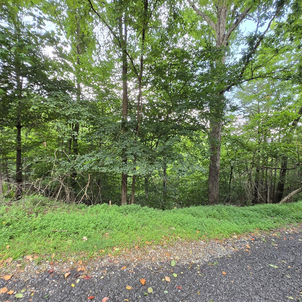Lot 71 Necowa Cove Overlook Blue Ridge GA 30513