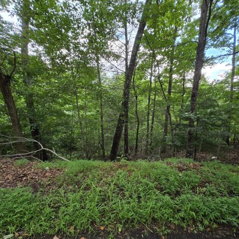 Lot 71 Necowa Cove Overlook Blue Ridge GA 30513