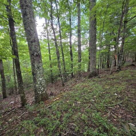 Lot 71 Necowa Cove Overlook Blue Ridge GA 30513
