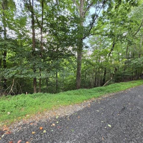 Lot 71 Necowa Cove Overlook Blue Ridge GA 30513