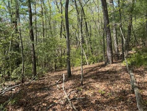 Lot 9 Marjorie Avenue Ellijay GA 30536
