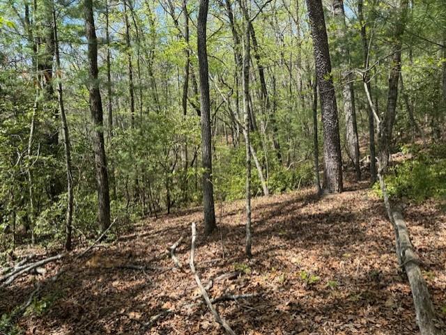 Lot 9 Marjorie Avenue Ellijay GA 30536