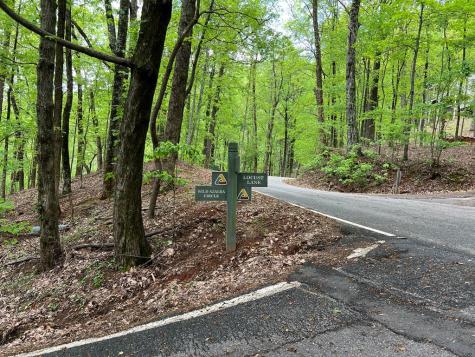 0 Valley View Drive Big Canoe GA 30143