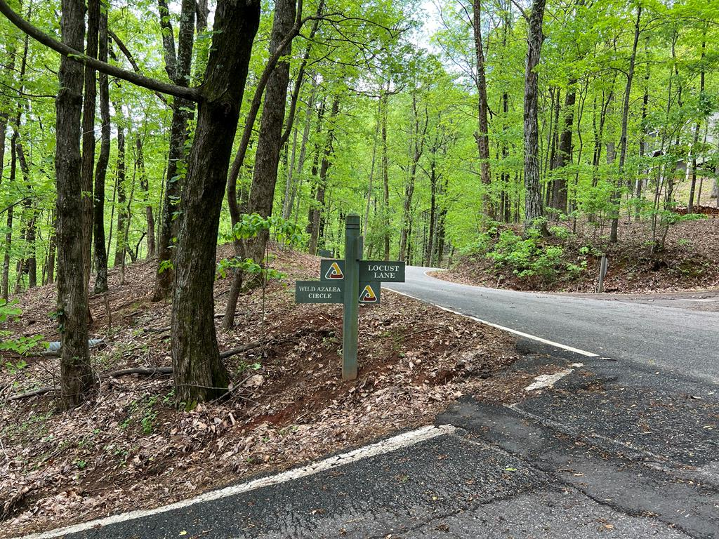 0 Valley View Drive Big Canoe GA 30143