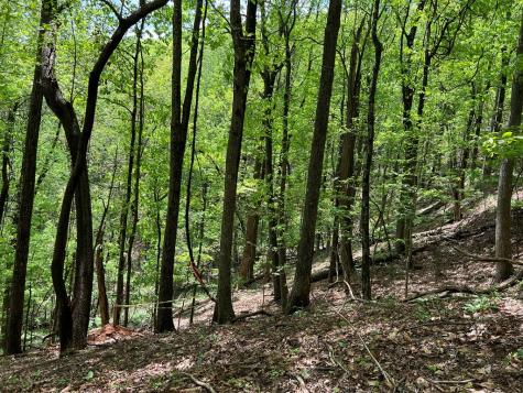 0 Valley View Drive Big Canoe GA 30143