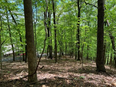 0 Valley View Drive Big Canoe GA 30143