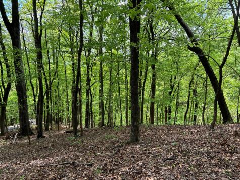 0 Valley View Drive Big Canoe GA 30143