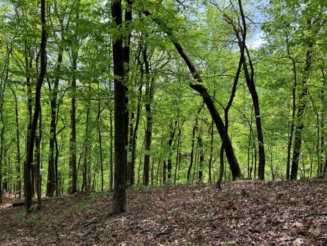 0 Valley View Drive Big Canoe GA 30143