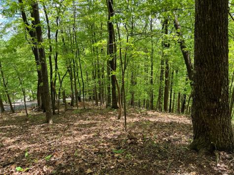 0 Valley View Drive Big Canoe GA 30143