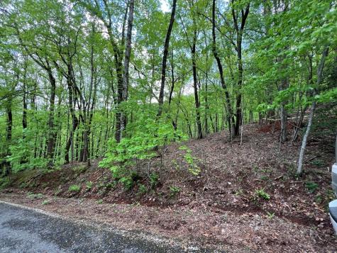 0 Valley View Drive Big Canoe GA 30143