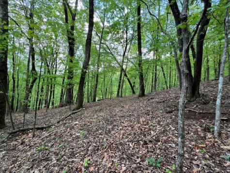 0 Valley View Drive Big Canoe GA 30143